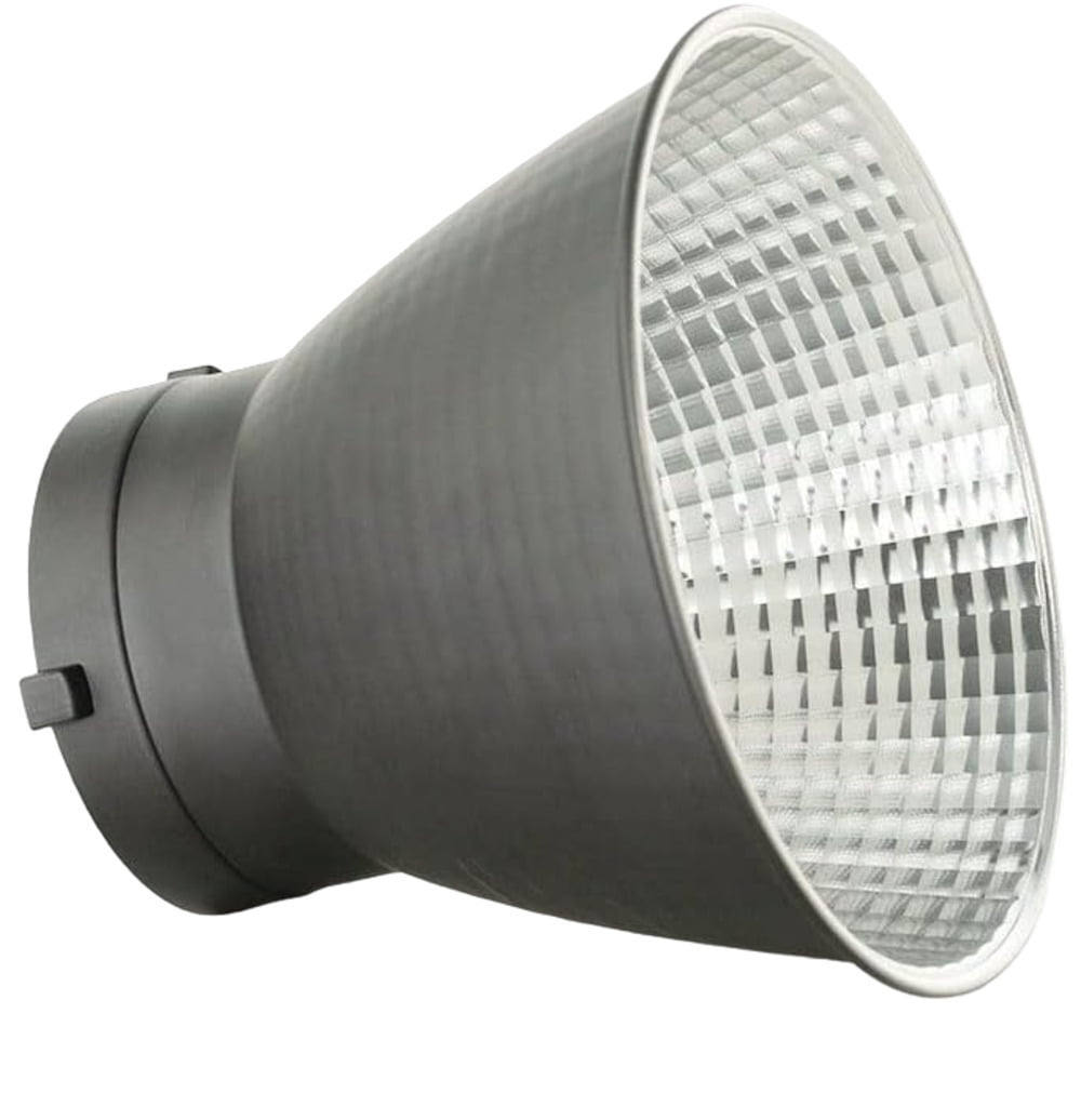 Aputure LS C300D Mark II LED Light Kit with V-Mount Battery