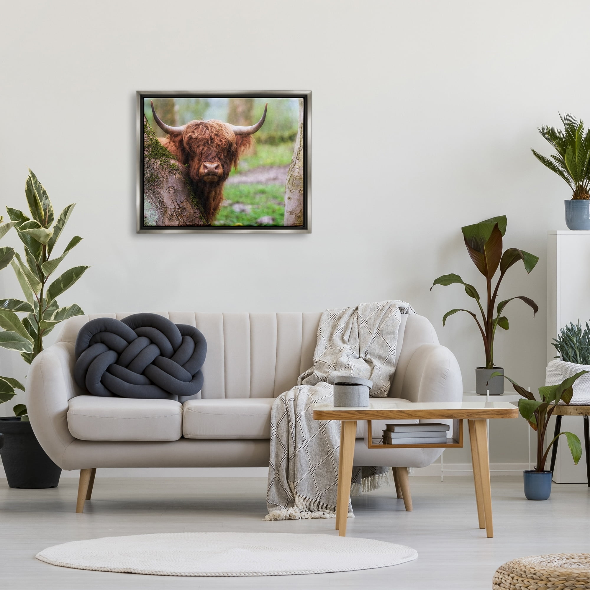 Stupell Industries Highland Cattle Peering Between Trees Lush Nature Scene Photograph Luster Gray Floating Framed Canvas Print Wall Art, Design by James Dobson