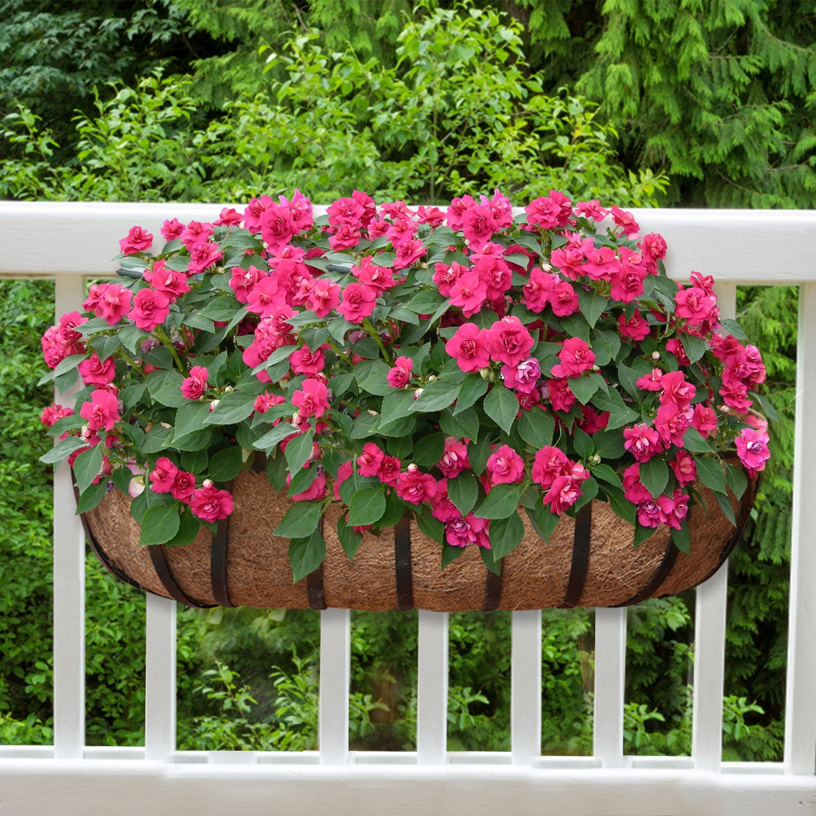 2 Pack 24 Inch Window Box Coco Liners, Natural Coconut Fiber Pre-Formed Planter Liners for Trough Baskets, Balcony Railings, Hanging Planters and Garden Use