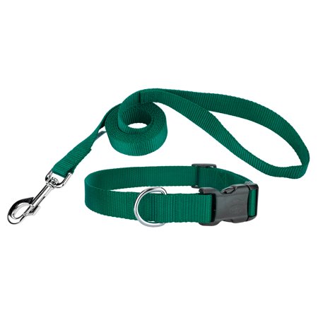 Country Brook Design® Deluxe Nylon Dog Collar and Leash