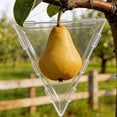 Triangular Fruit Shaping Mold for Tomatoes and Vegetables, Transparent ...