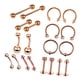 thumbnail image 3 of Kit de joyería para piercing de 20 piezas, aros para nariz, juego de aros para nariz, labio, 1.2x6 + 3mm, 3 of 5