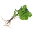 thumbnail image 1 of BESTYASH 1Ud Planta Artificial Para De Bodas, Banquetes Y Ambientes Interiores, 1 of 6