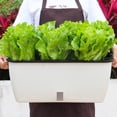 thumbnail image 4 of Coofit Vegetable Planter Creative Dual-Layer Plastic Flower Planter Planting Pot, 4 of 10