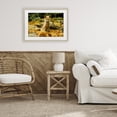 thumbnail image 2 of Stupell Industries Sleepy Fall Fox in Autumn Birch Framed Print Under Glass design by Carrie Ann Grippo-Pike, 17 x 23, 2 of 10