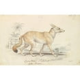 thumbnail image 3 of Charles Hamilton Smith 24x17 Black Modern Framed Museum Art Print Titled - Pale Dog Fox (1837), 3 of 5