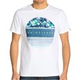 thumbnail image 1 of Camiseta grÃ¡fica Quiksilver Color Wheel para hombre, blanca, grande Quiksilver Camiseta grÃ¡fica, 1 of 1