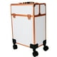 thumbnail image 1 of Neceser Maleta Cosmetiquera Profesional Belleza Con Llantas Arcoshop 3599B, 1 of 5