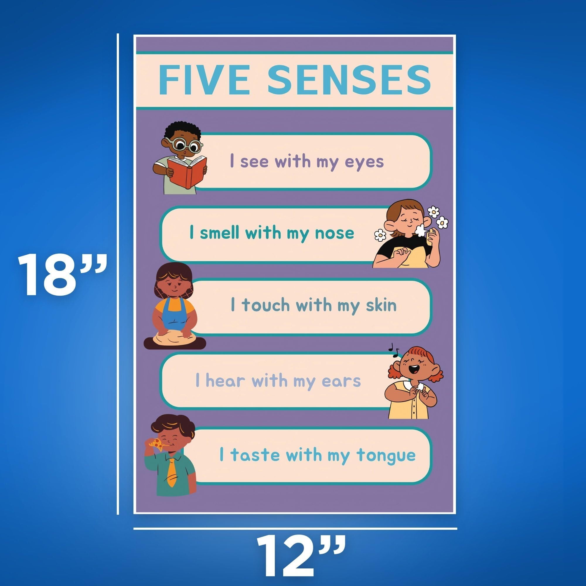 Five Sense Diagram - Sensory System Chart - Visual Learning Tool - Science Education