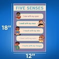 thumbnail image 2 of Five Sense Diagram - Sensory System Chart - Visual Learning Tool - Science Education, 2 of 2