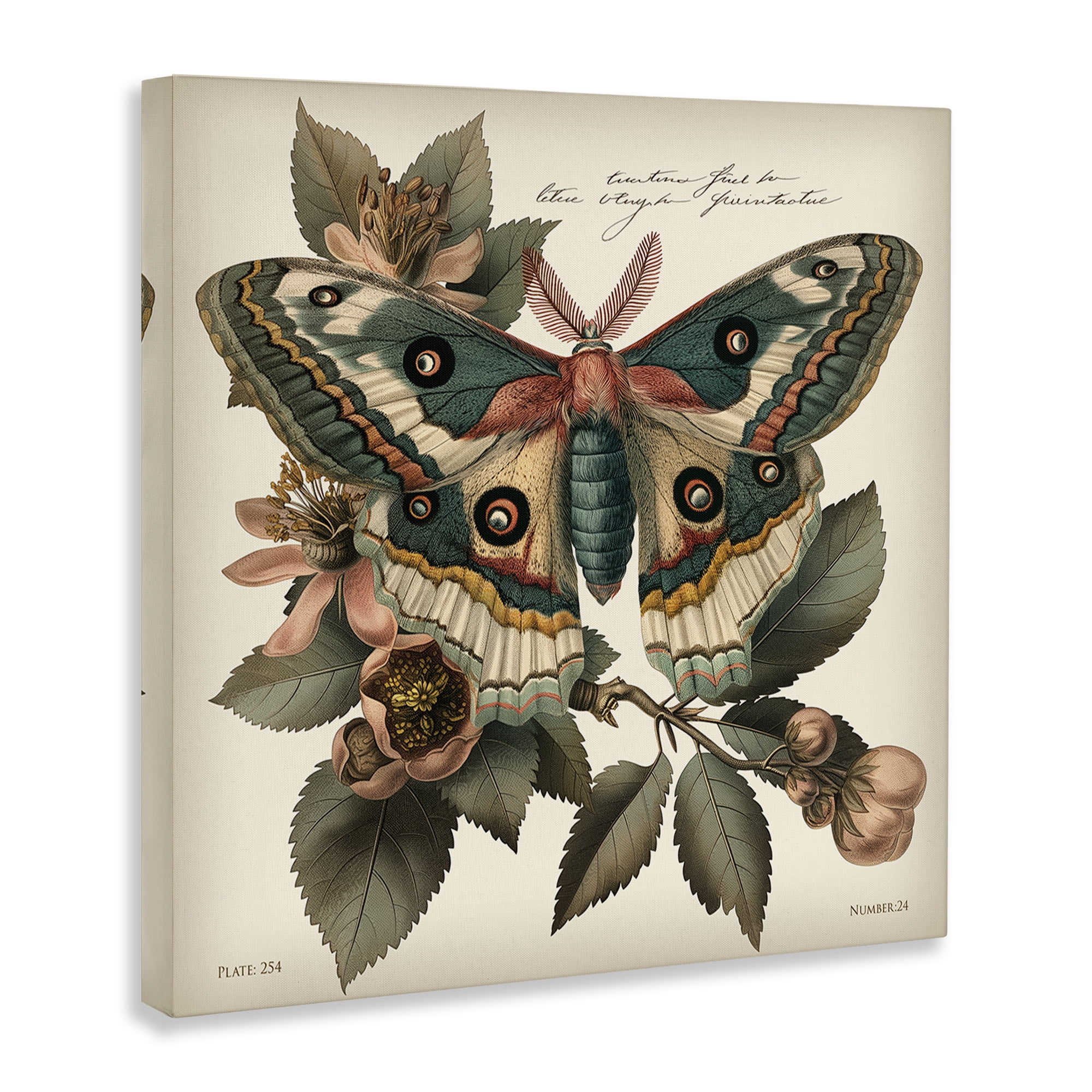 Stupell Industries Green Patterned Moth Animals Painting Wrapped Canvas Art Print Wall Art, 17 x 17