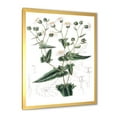 thumbnail image 2 of Designart 'Ancient Plant Life XXII' Traditional Framed Art Print, 2 of 4
