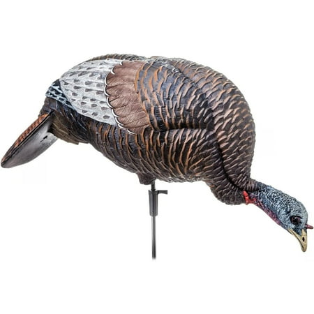 Bilot Hunting Lightweight Ultra Realistic Lifelike Plastic Outdoor Thunder Chicken Feeding Hen Turkey Decoy