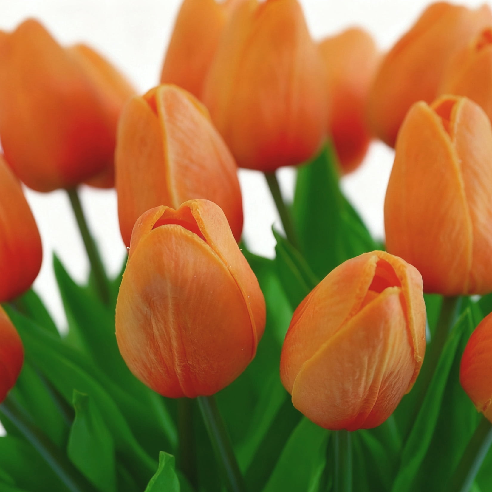 20 Pcs Artificial Real Touch Tulips Flowers in Glass Vase, Orange Tulip Arrangement with Faux Water for Dining Table Home Decor Wedding Centerpieces