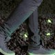 thumbnail image 4 of Resplandor Piedras luminosas Decoración Grava Peces Guijarros Adoquines Tanque Rocas fluorescentes oscuras para jardín Acuario Patio trasero Boda al Amarillo Macarena Piedras luminosas, 4 of 7