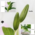thumbnail image 4 of Viworld Artificial Tiger Lily 5Pcs Latex Fake Flowers Real Touch Bouquet For Wedding Party Home Office Garden Hotel Decor (Light Pink), 4 of 7