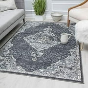 Harper HY50D Transitional Distressed Vintage Area Rug 8'0"X10'0", Black Velvet Petunia