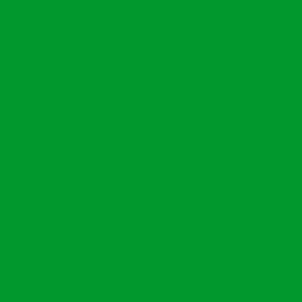 Fadeless 006123 Sulphite Acid-Free Art Paper Roll, Emerald Green -  