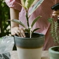 thumbnail image 4 of CATIEBYE 50Ud Drip Irrigation Emitters Curvos Para Plantas En Maceta Mejor Y De, 4 of 7