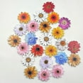 thumbnail image 5 of clothes buttons 50Pcs Single Side Painting Buttons Daisy Flower Fastener DIY Clothes Buckles Clothing Accessories Assorted Pattern, 5 of 6