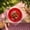 Red, variant on VVQ Plastic Round Hollow Basket, Outdoor Picnic Food Plates Holders Storage Basket, Lightweight Barbecue Plates Holders for Kitchen Sink Draining, Blue