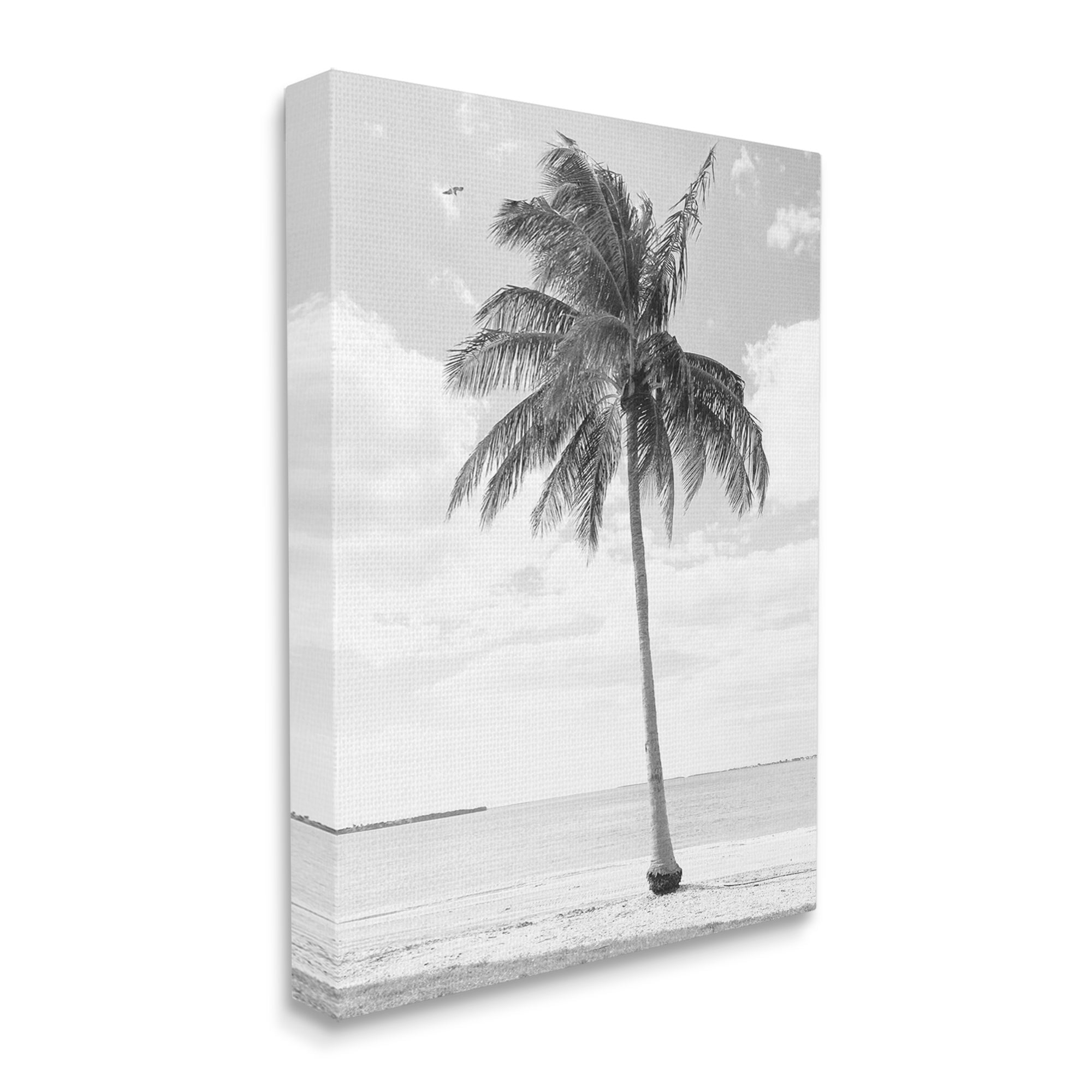 Stupell Industries Single Palm Tree Monochrome Tropical Beach Plant Photograph Gallery Wrapped Canvas Print Wall Art, Design by Graffitee Studios