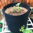 thumbnail image 4 of unbranded 3Ud Bolsas Para Plantas No Tejidas Negras Con Lento Y Material Stretch, 4 of 8