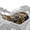 Bear Camo Pattern, variant on Pzuqiu Leaves ATV Seat Cover, Durable Breathable Quad Bike Seat Guard High Elastic for Polaris Sportsman Arctic Cat Scrambler CFMOTO