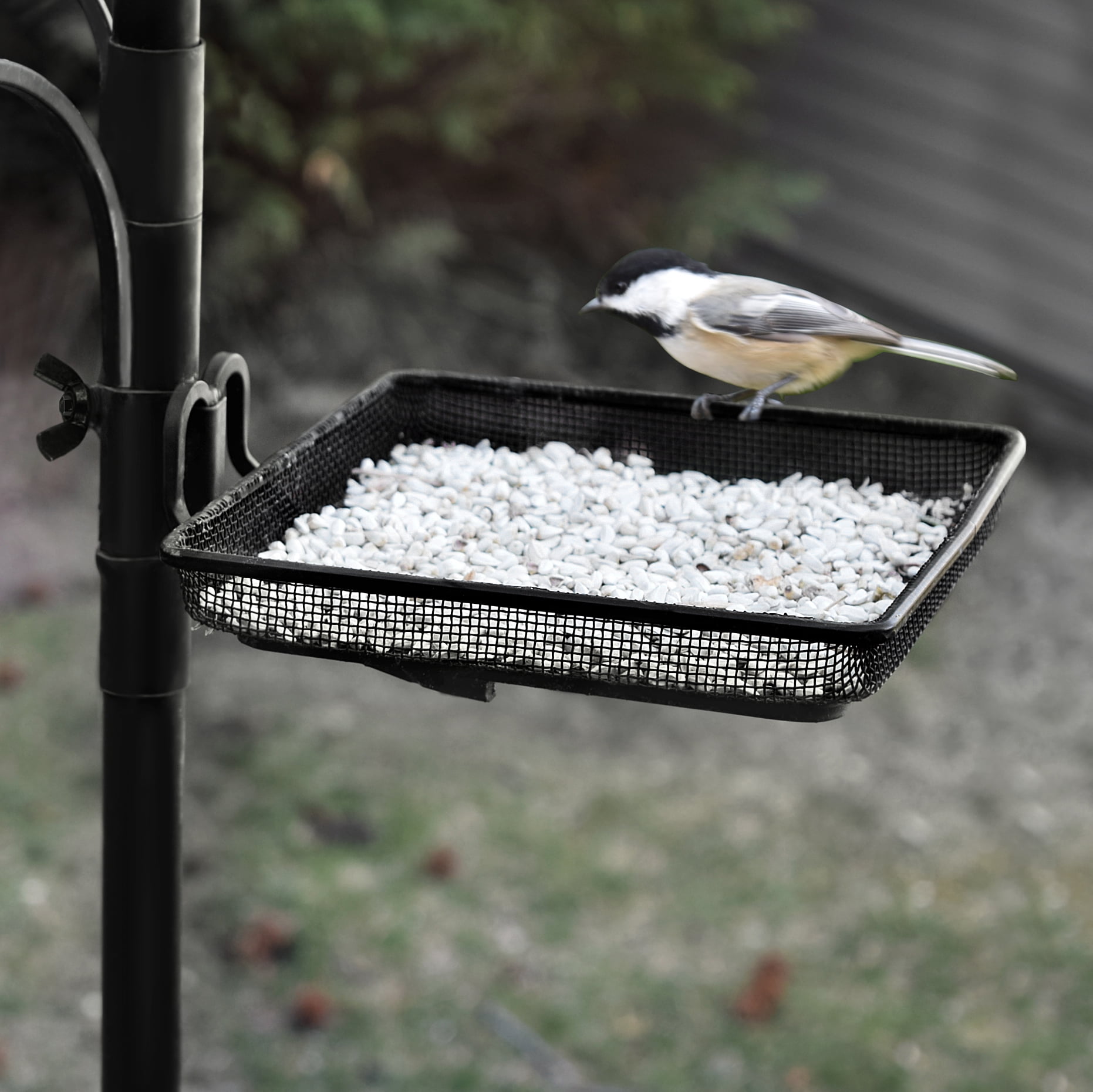 Multi Feeder Hanging Kit /& Bird Bath for Attracting Wild Birds Black Gray Bunny GB-6844D Deluxe Premium Bird Feeding Station Birdfeeder /& Planter Hanger 22 Wide x 91 Tall 82 inch Above Ground