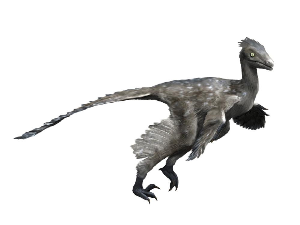 troodon plush