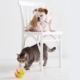 thumbnail image 1 of Juguetes inteligentes para gatos, juguetes de pelota impermeables luminosos para todas las mascotas (automático amarillo), 1 of 5