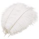 thumbnail image 1 of 10 piezas de plumas de avestruz naturales, para la decoración de la mesa del banquete de boda kaili Sencillez, 1 of 4