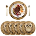 thumbnail image 5 of Ryvnso Owl on Branch Round Plate Mats Dining Table Placemat Set of 4 for Holiday Decoration, 5 of 7