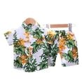 thumbnail image 3 of QUDDERR Toddler Boys Short Sleeve Shirt Outfits Baby Boys Hawaiian Tops Shorts Sets 1-4 Years Printed Shirt Shorts Summer Cotton 2 Piece, 3 of 9