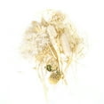 thumbnail image 3 of Hand Made Flower Accessories,Dried Flowers Colorful Fragrance Dried Flowers Color Dried Flowers Exceptional Reliability, 3 of 14