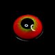 thumbnail image 4 of Lentes de contacto de colores Party Crazy Color Agrandar Embellecer Aspecto natural yeacher G23SE, 4 of 6