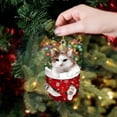 thumbnail image 2 of (2 Pack) Christmas Decorations Acrylic Stockings for Cats - Tree Hangs Festive Crafts Unique Holiday for Home Decoration, 2 of 4