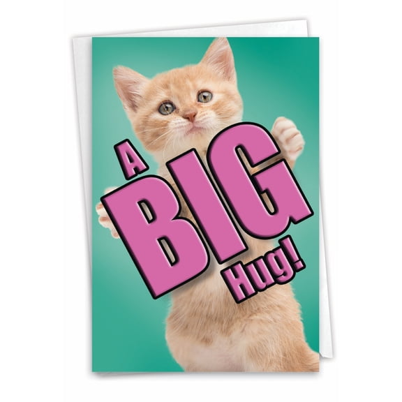 C6614GMYG Funny Miss You Card 'Cat A Big Hug' with Envelope by NobleWorks