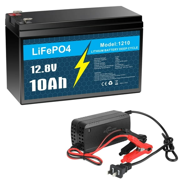 12V 10Ah LiFePO4 Lithium Battery with 5A Charger, Built-in 10A BMS, for Power Wheel