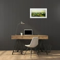 thumbnail image 3 of Friedlander, Allan 32x18 White Modern Wood Framed Museum Art Print Titled - Dawns Early Light, 3 of 4