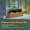 thumbnail image 2 of All Things Cedar 22” Outdoor Window Planter, Wooden Wall Plant Box, Natural, 2 of 8