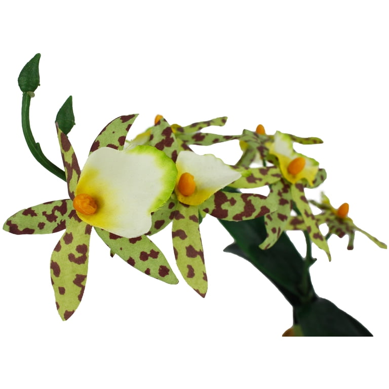 Komodo Silk Orchid Plant with Gravel Base, 14 Inches photo 4