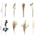 thumbnail image 2 of Dried Pampas Grass,65 Pcs Dried Flowers Decoration Natural Pampas Grass Decor Small Dried Flowers Dried Plants Home Wedding Decor Bedroom Balcony Kitchen Home Decor, 2 of 7