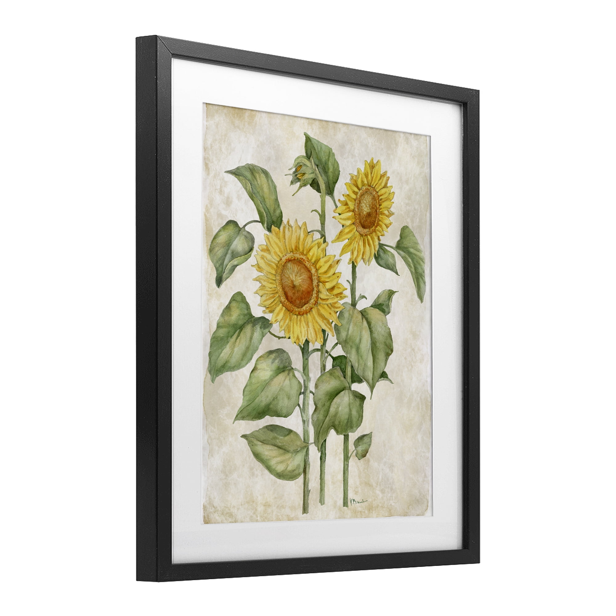 Stupell Industries Floral Journal Vintage Sunflower Black Framed Print Under Glass, design by Paul Brent