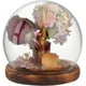 thumbnail image 1 of Campana de cristal transparente con base de madera. Vitrina decorativa., 1 of 7