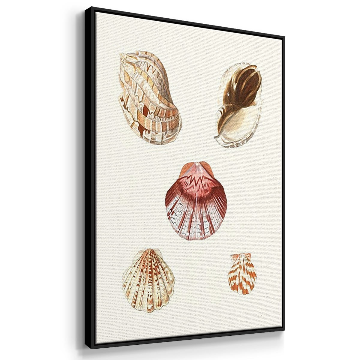 Pastel Knorr Shells IV - Framed Premium Gallery Wrapped Canvas L Frame 3 Piece Set - Ready to Hang