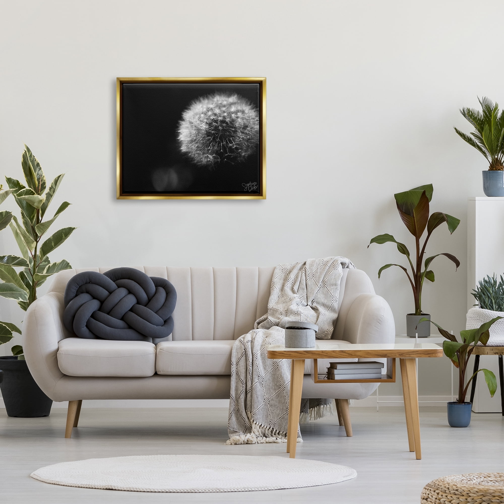 Stupell Modern Black Dandelion Photography Botanical & Floral Photography Gold Floater Framed Art Print Wall Art