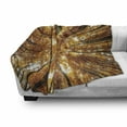 thumbnail image 3 of Forest Soft Flannel Fleece Blanket, Big High Beech Trees Deciduous Shedding Canadian Maples America Inspired Idyllic, Cozy Plush for Indoor and Outdoor Use, 60" x 80", Orange Brown, by Ambesonne, 3 of 6