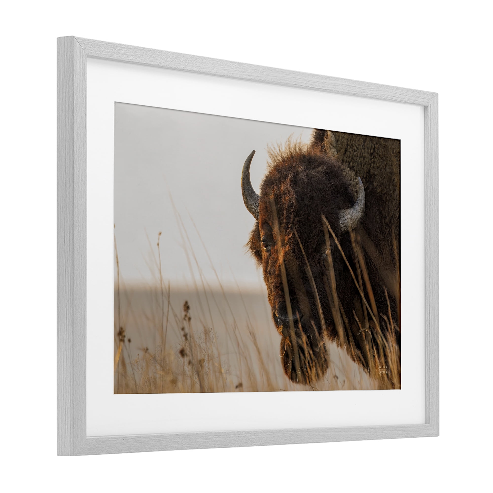Stupell Industries Bison Sunset on Golden Prairie Gray Framed Print Under Glass, design by Nathan Larson