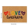 thumbnail image 3 of Clearance Colorful Gay Letter Doormats Funny Door Mats Outdoor Welcome Doormats Entrance Rug Farmhouse Decor Home Kitchen Floor Summer Door Mats Washable Low-Profile Inside Entry Doormats for Entryway, 3 of 4